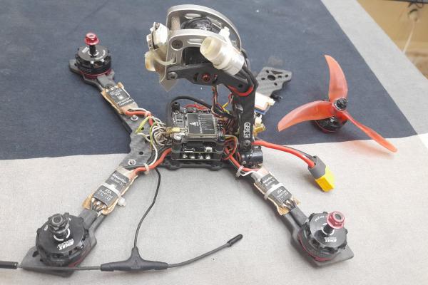 241185925 241800594667102 534591944216941317 N